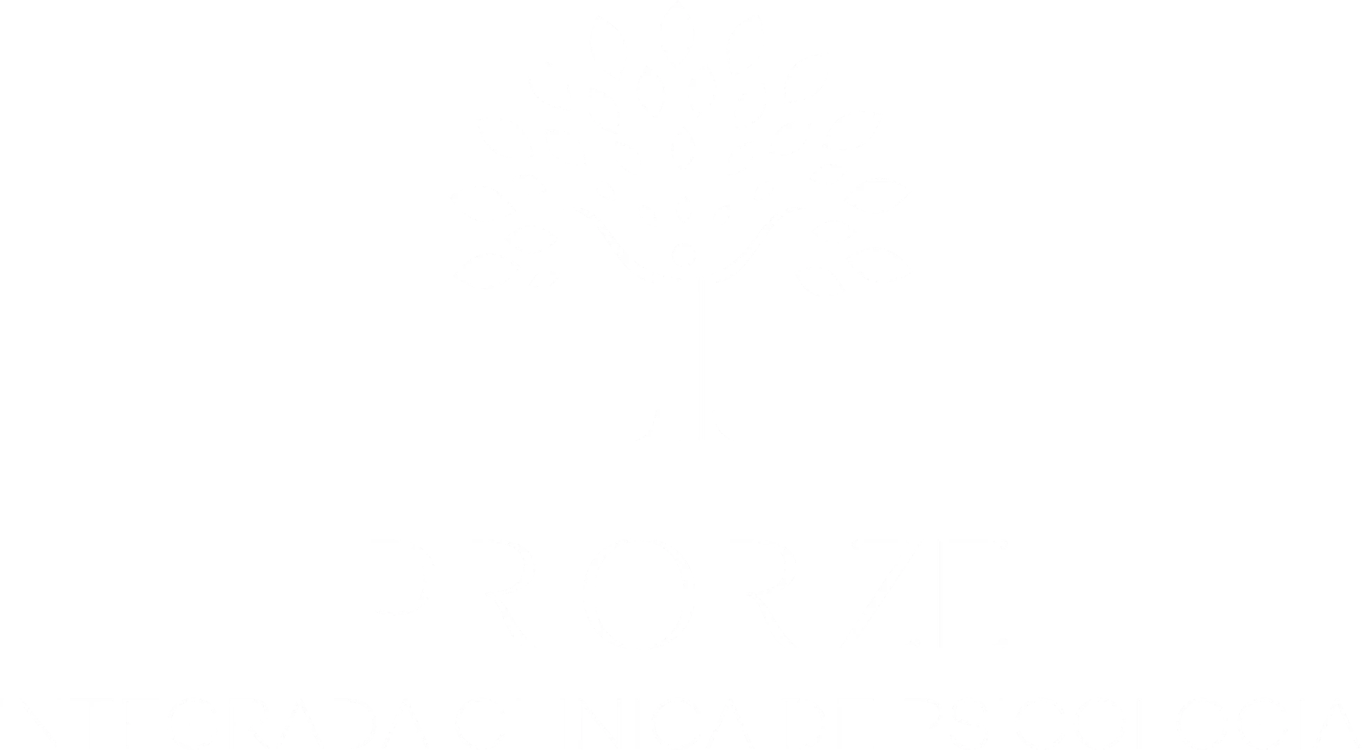 logotipo_rodapé